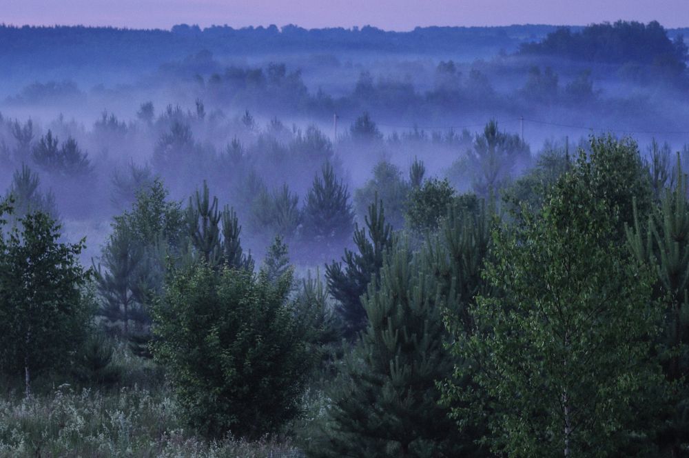 Photograph by Надежда