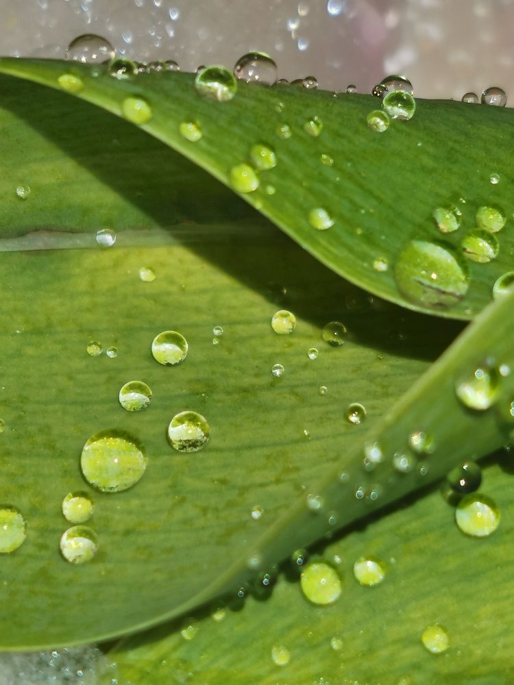 Photograph by Елена Акимова