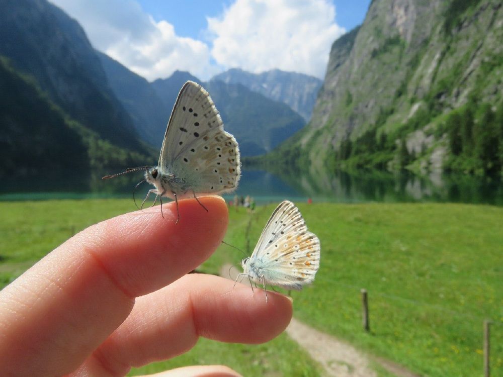 Photograph by Валерия Яскович