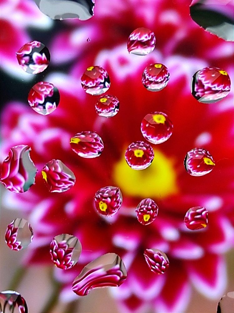 Photograph by Юлия Зинякова