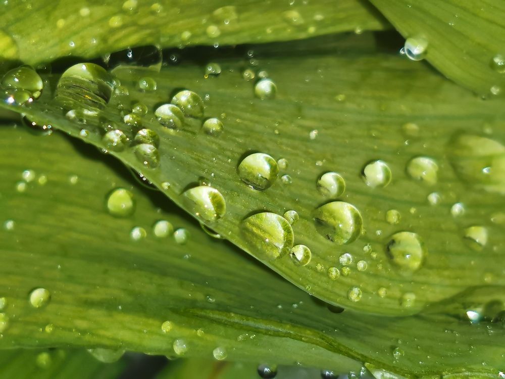 Photograph by Елена Акимова