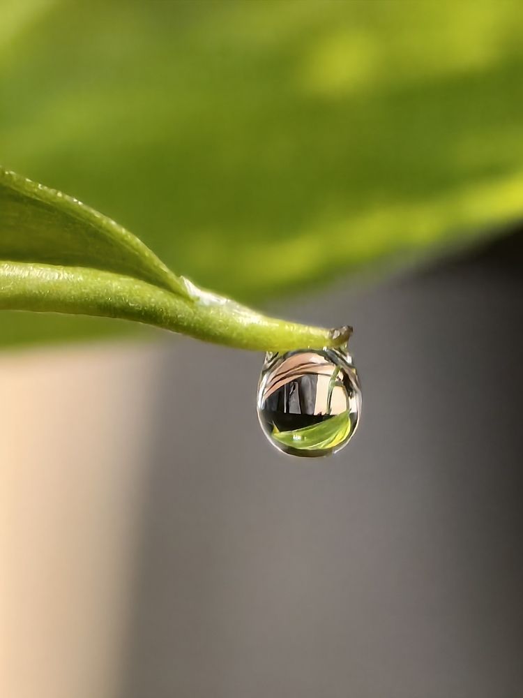 Photograph by Елена Акимова