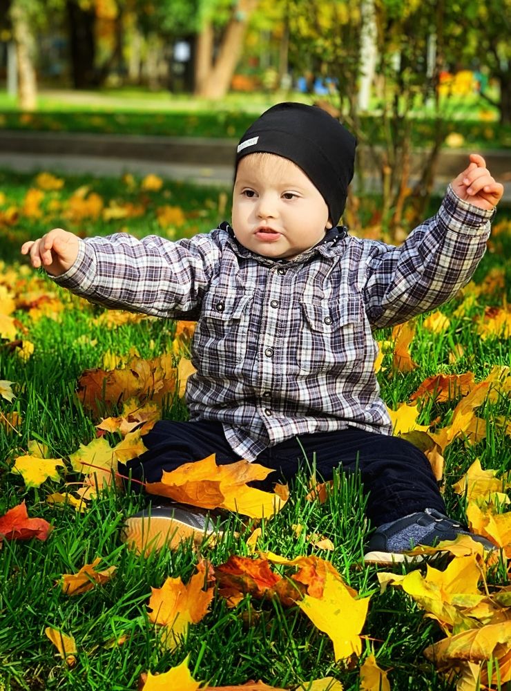 Золотая осень