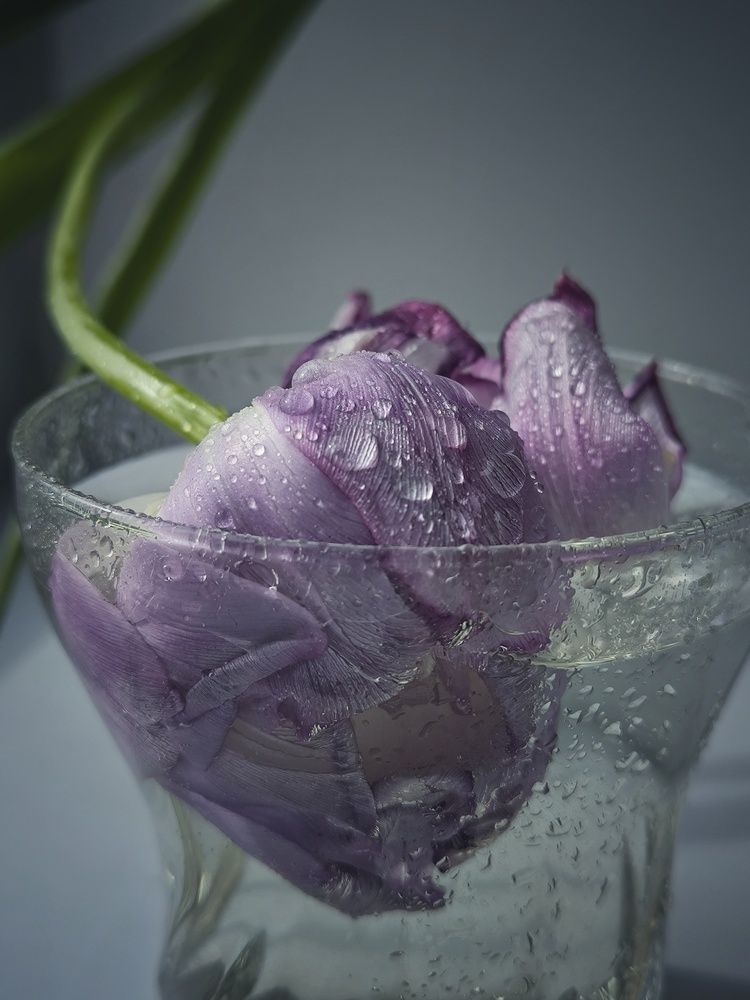 Фотография автора Екатерина Солодовник