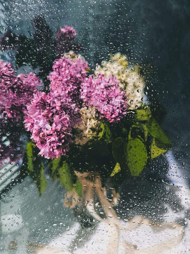 Фотография автора Екатерина Солодовник