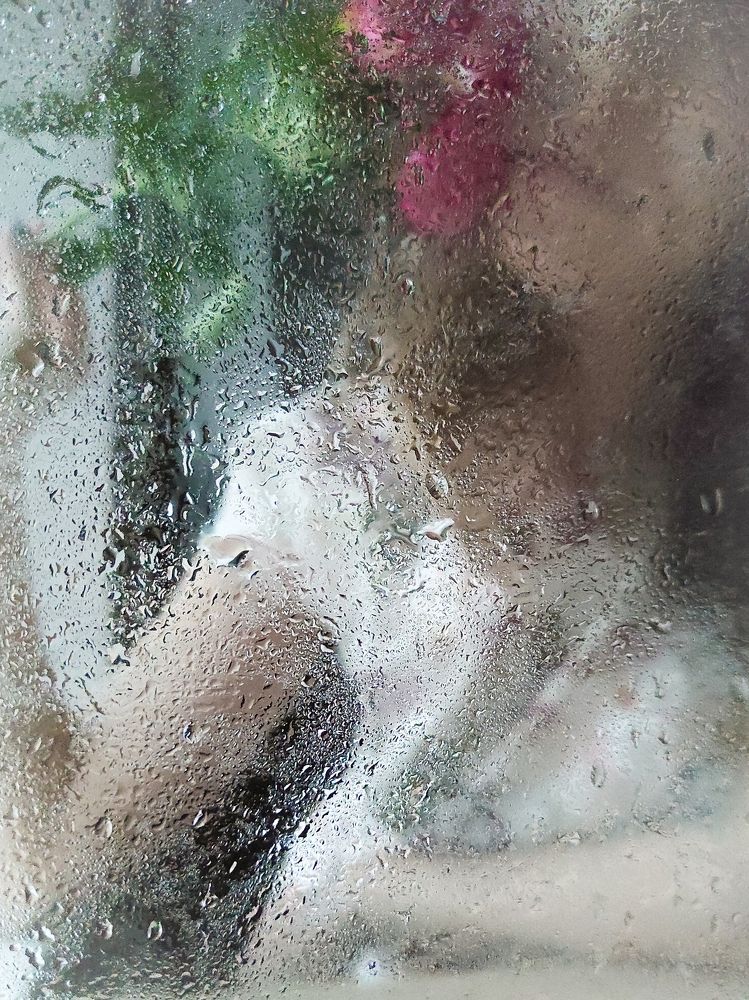 Фотография автора Екатерина Солодовник