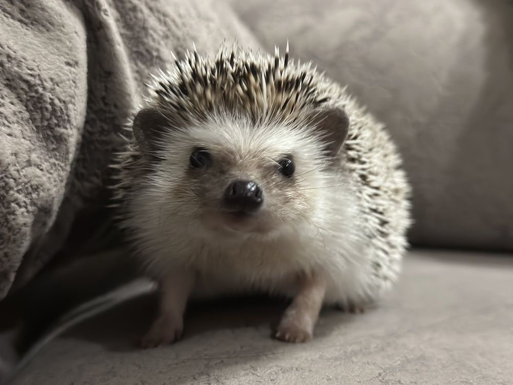 Photograph by Ирина Маркина