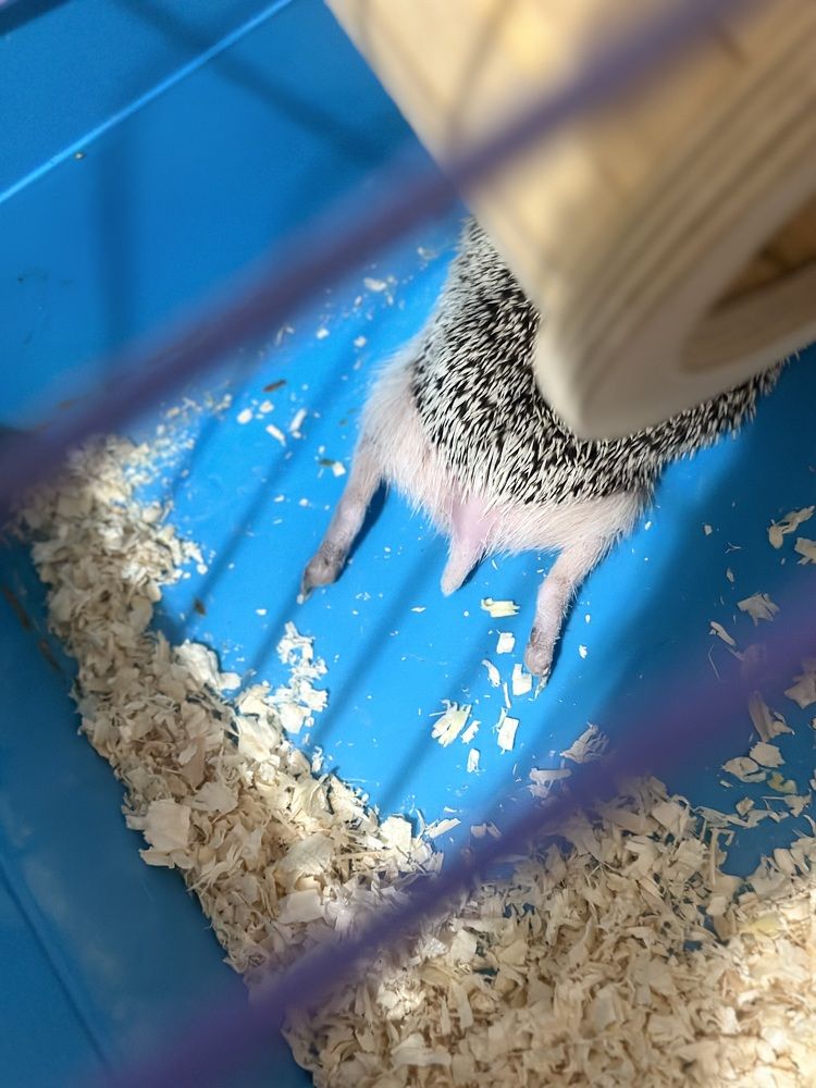 Photograph by Ирина Маркина