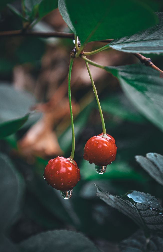 Photograph by Катерина Сорокина