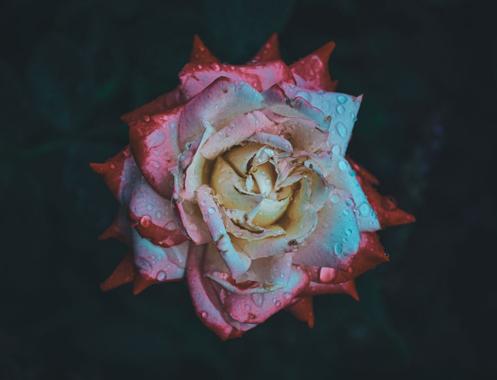 Photograph by Катерина Сорокина