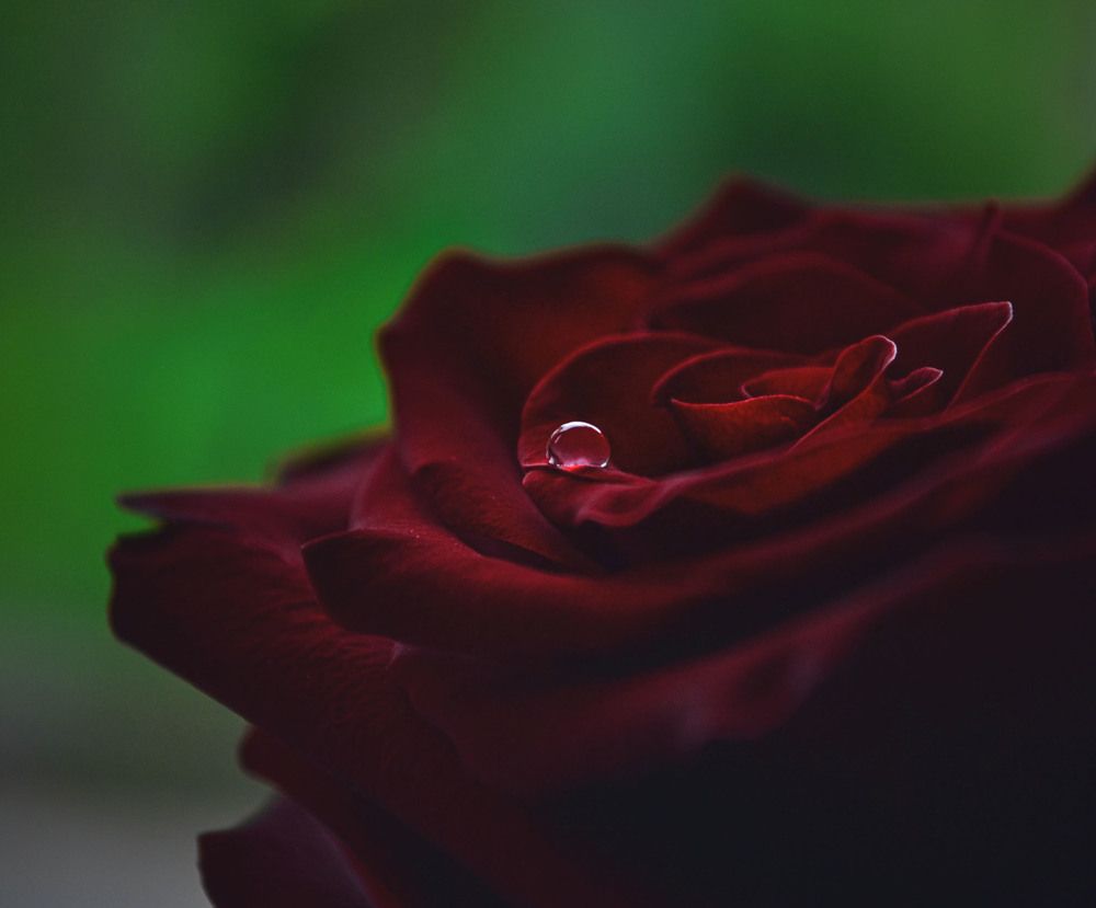 Photograph by Катерина Сорокина