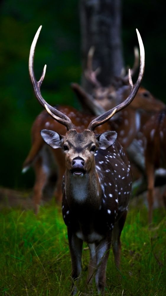 Photograph by SARAVANA MANICKAM