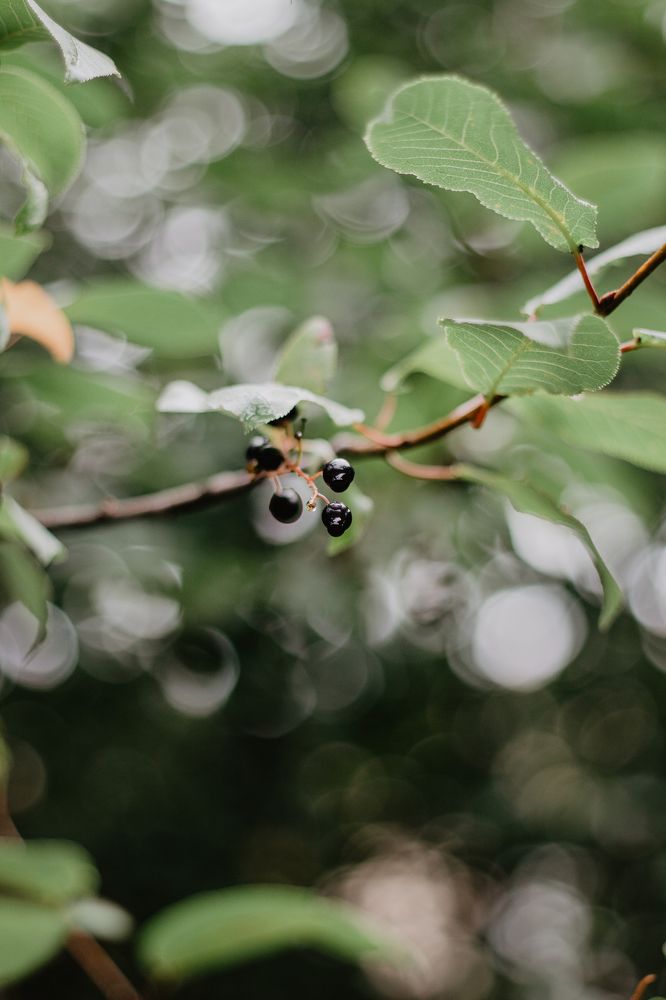 Photograph by Anna Dubinina