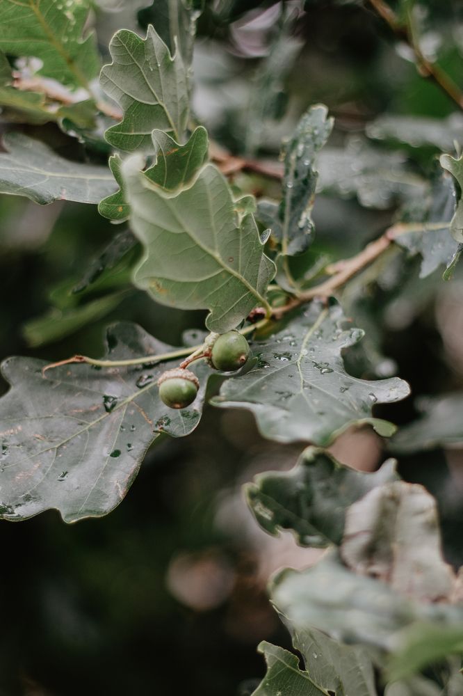 Photograph by Anna Dubinina