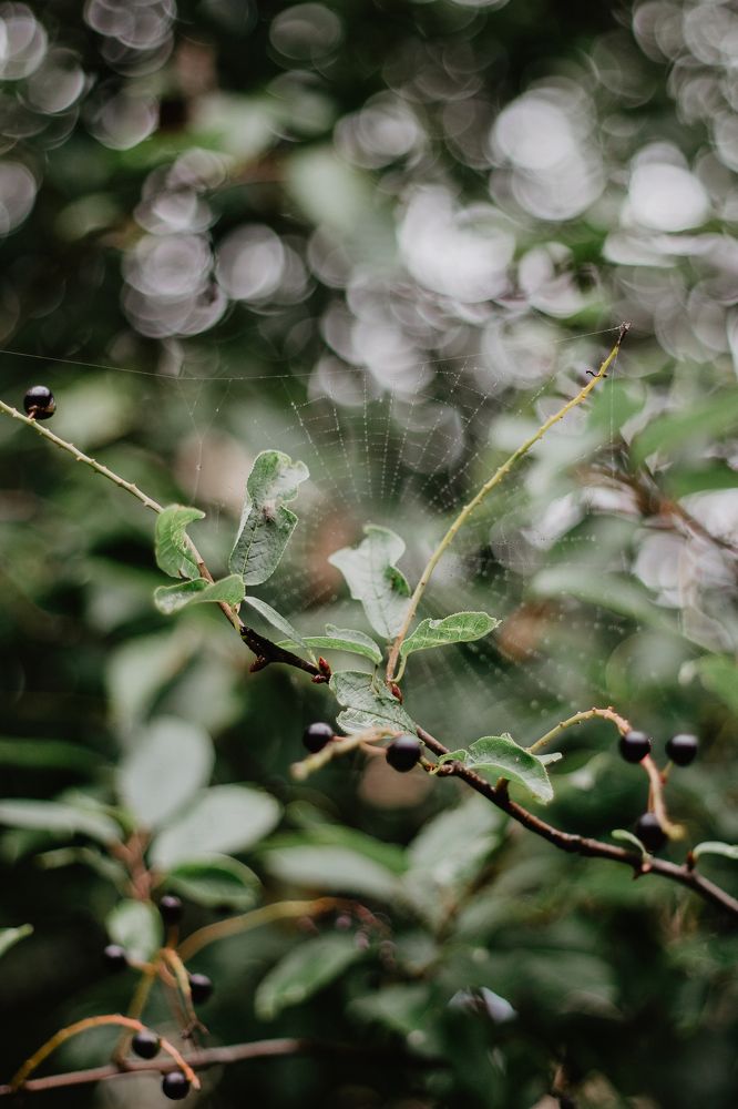 Photograph by Anna Dubinina