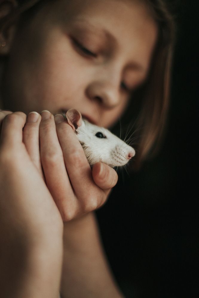 Photograph by Ирина Дьяченко