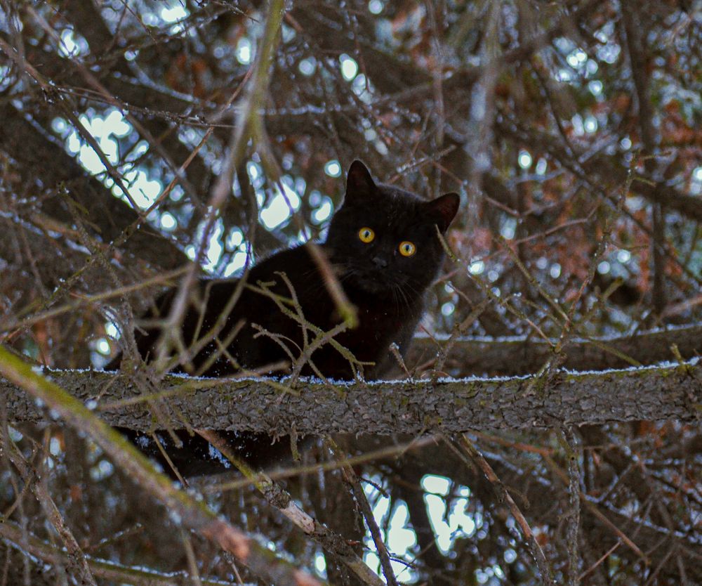 Photograph by Катерина Сорокина