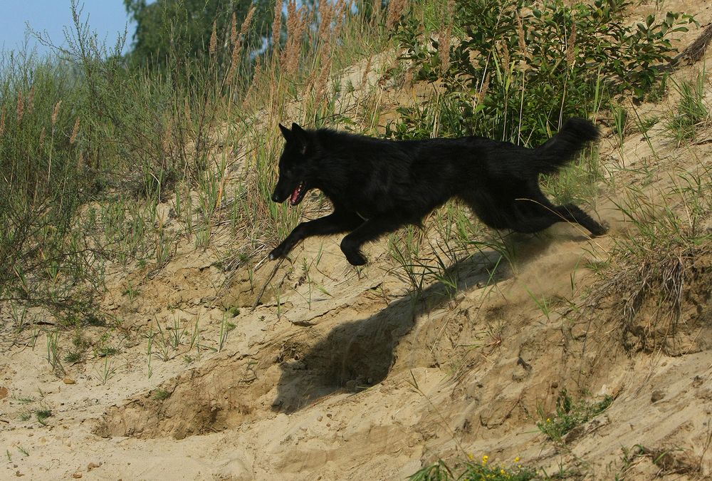 Фотография автора Надежда Лисицына