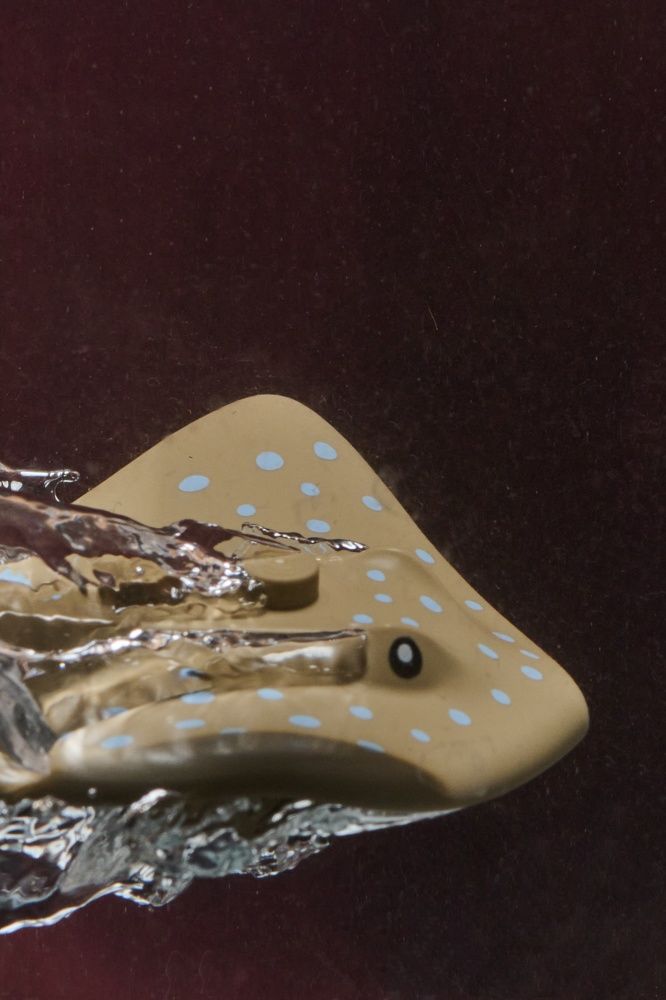 Photograph by Дмитрий Солодухин