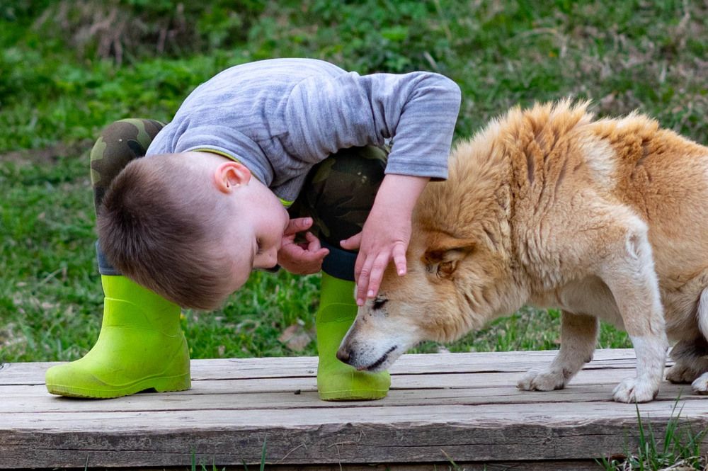 Фотография автора Олег Капуста