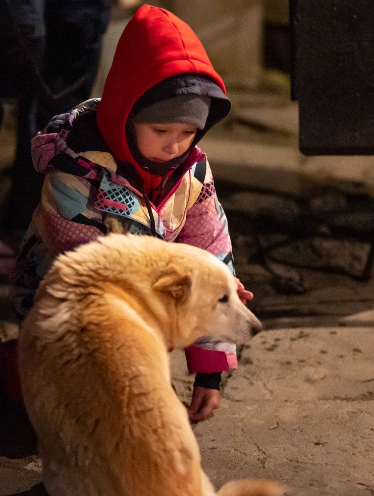 Фотография автора Олег Капуста