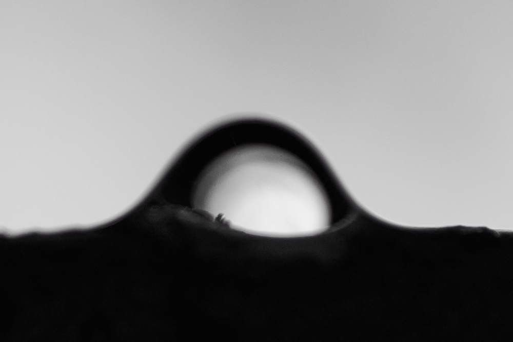 Photograph by Дмитрий Солодухин