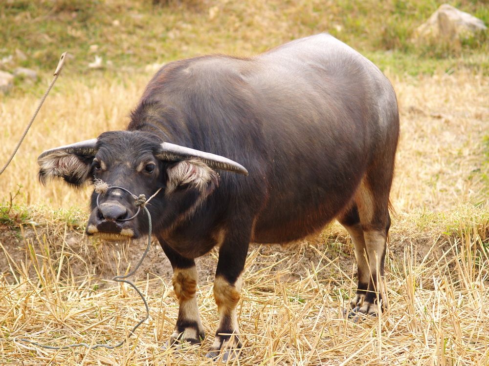 Photograph by Александр Журавлев