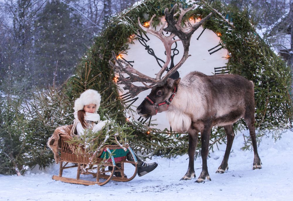 Фотография автора Мария Анатольевна Кузовлева