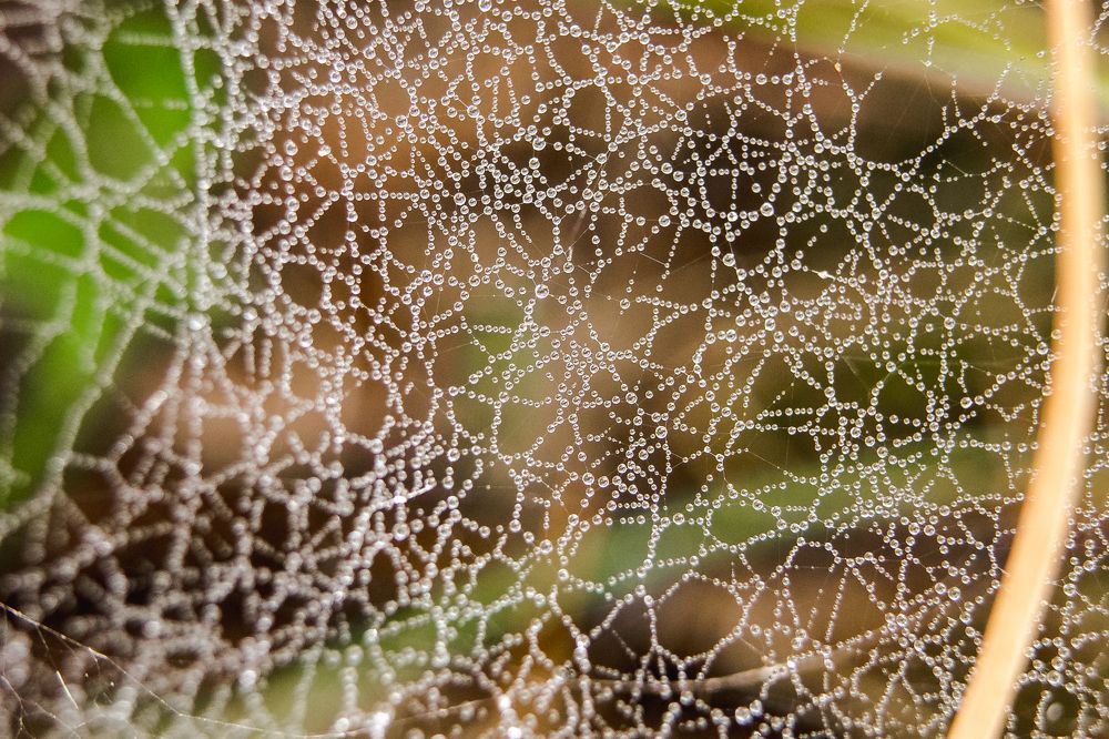 Photograph by Ольга Белопухова