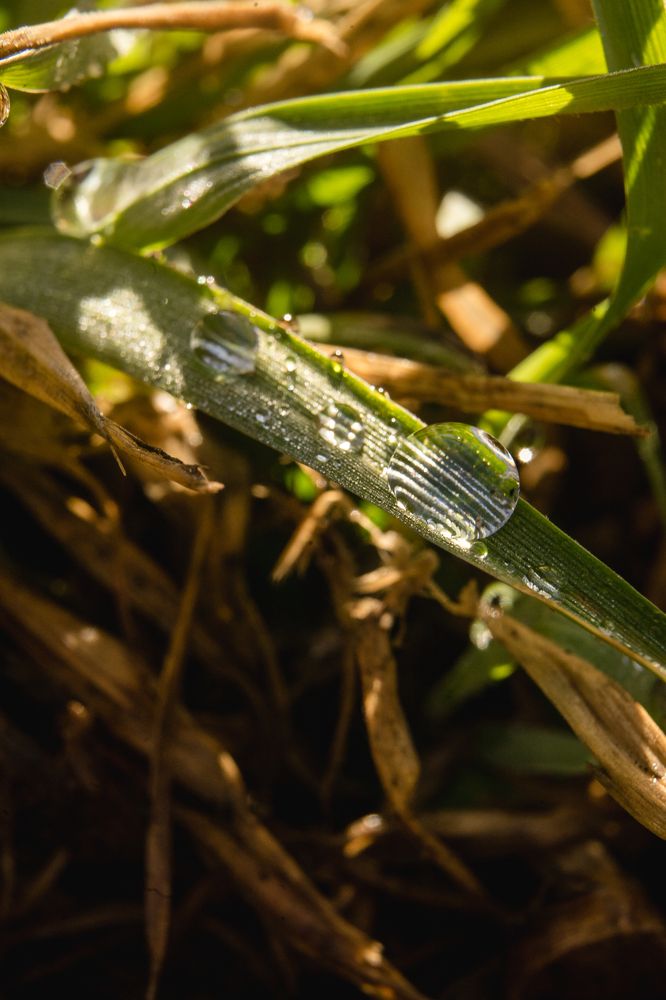 Photograph by Ольга Белопухова