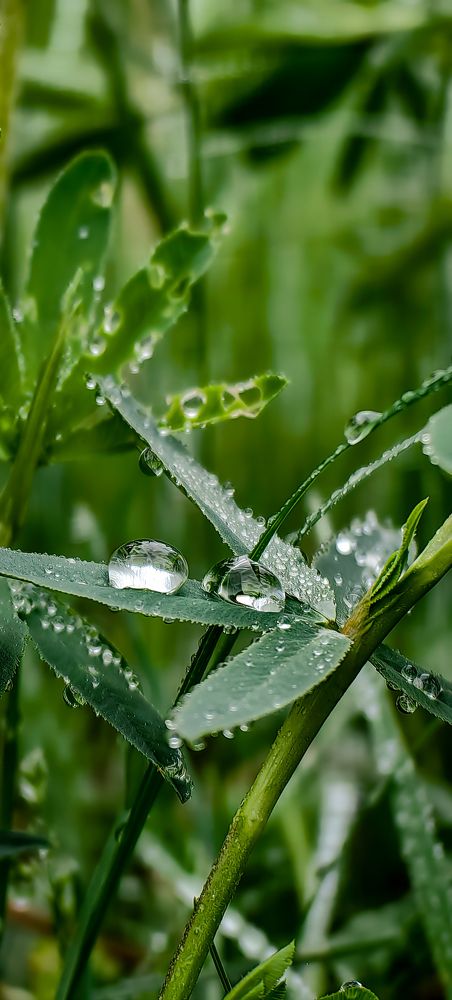 Photograph by Светлана Хамидулина