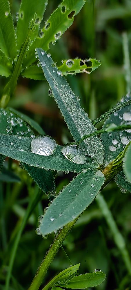 Photograph by Светлана Хамидулина