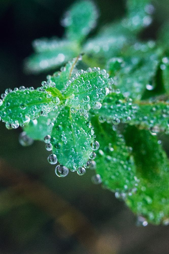 Photograph by Ольга Белопухова