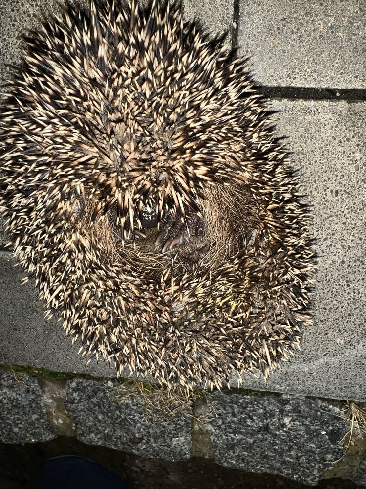 Photograph by Eugenia Schmidt