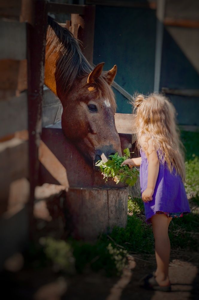 Photograph by Вера Пац