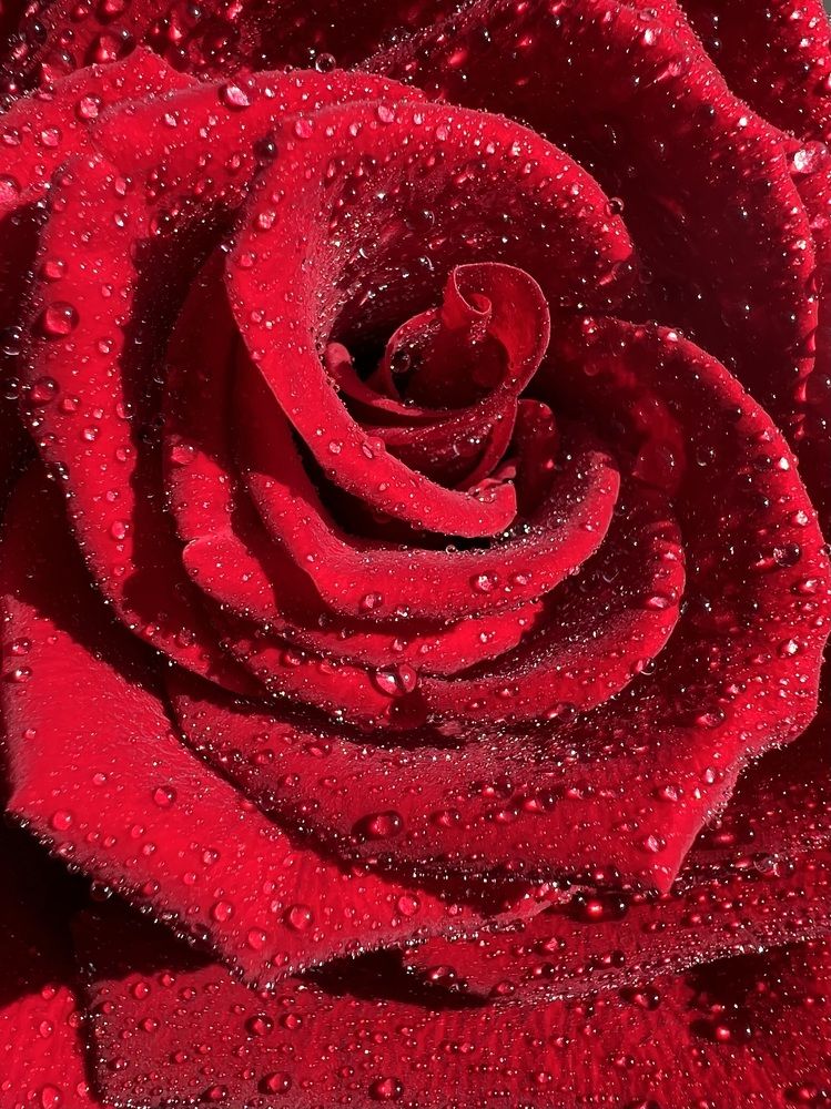 Photograph by Марина Нагичева