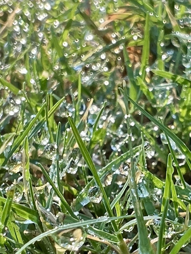 Photograph by Марина Нагичева