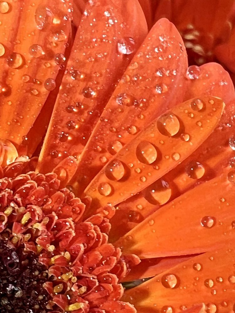 Photograph by Марина Нагичева