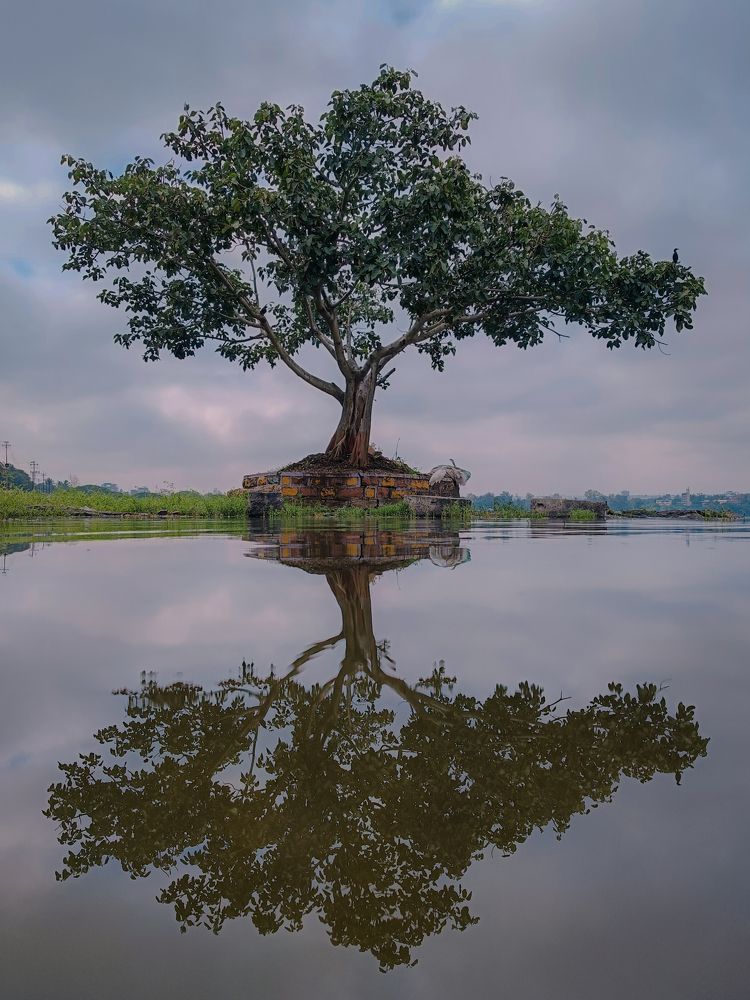 Фотография автора Jayesh Rajput