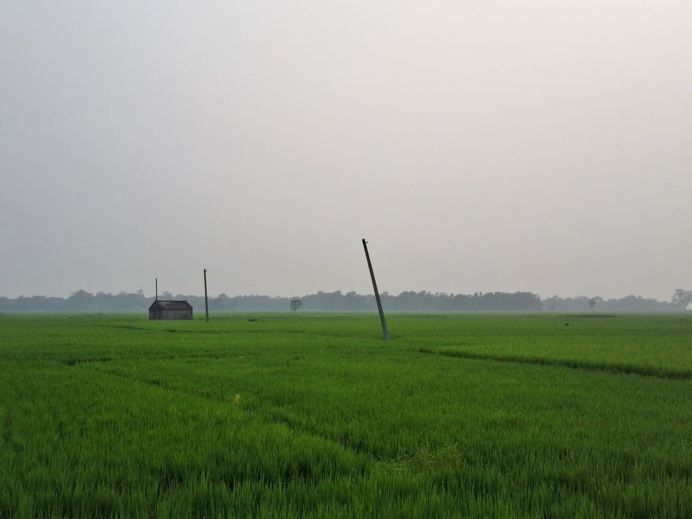Photo #11483841