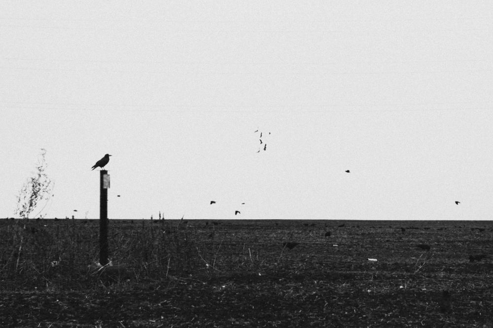 Photograph by Яна
