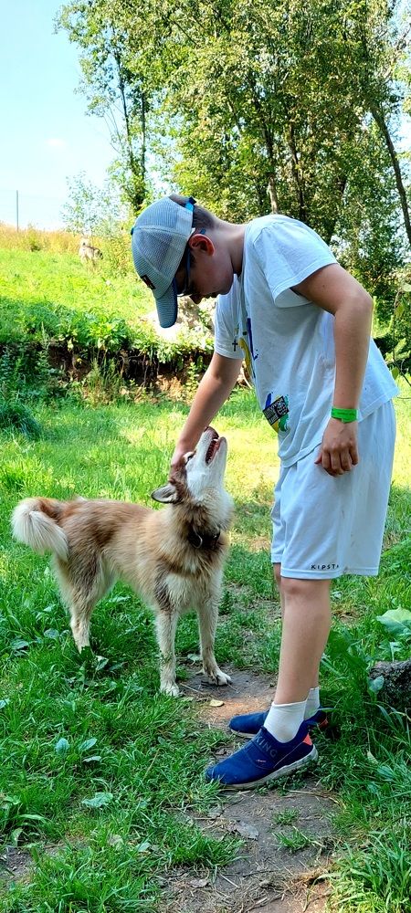 Фотография автора Сергей Можаев