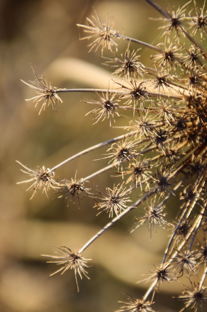 Фотография автора Olga Lavrenchuk