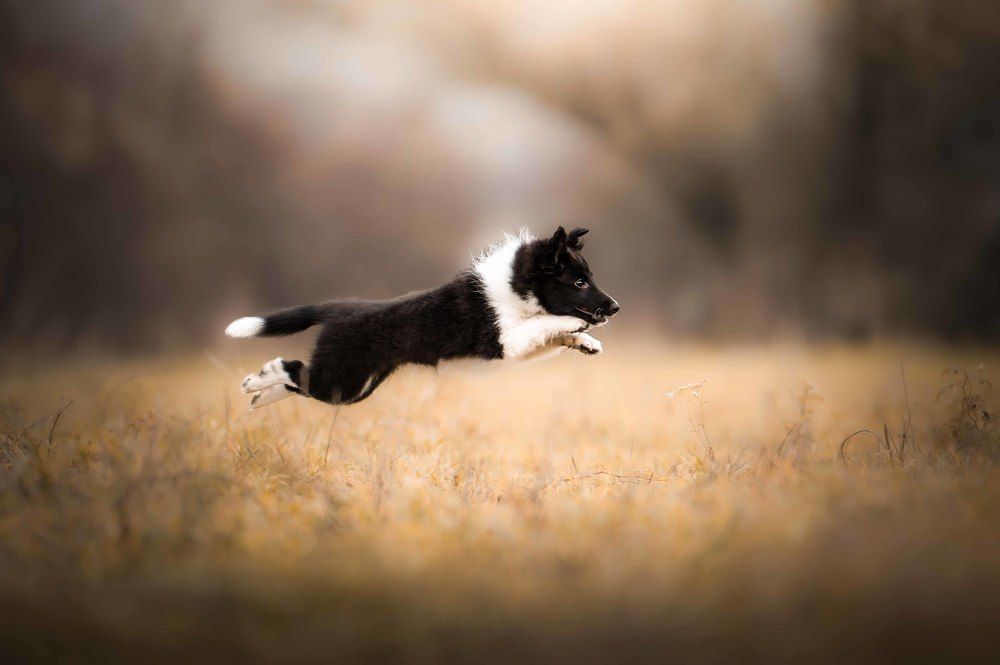 Photograph by Csenge