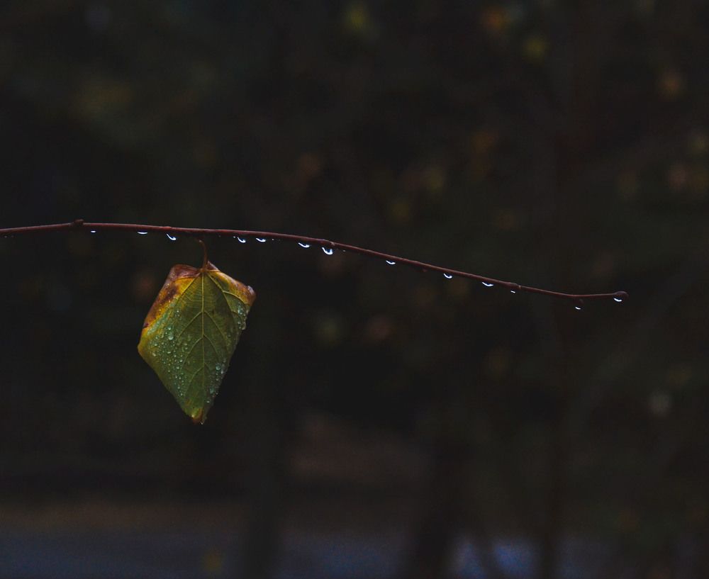 Photograph by Катерина Сорокина