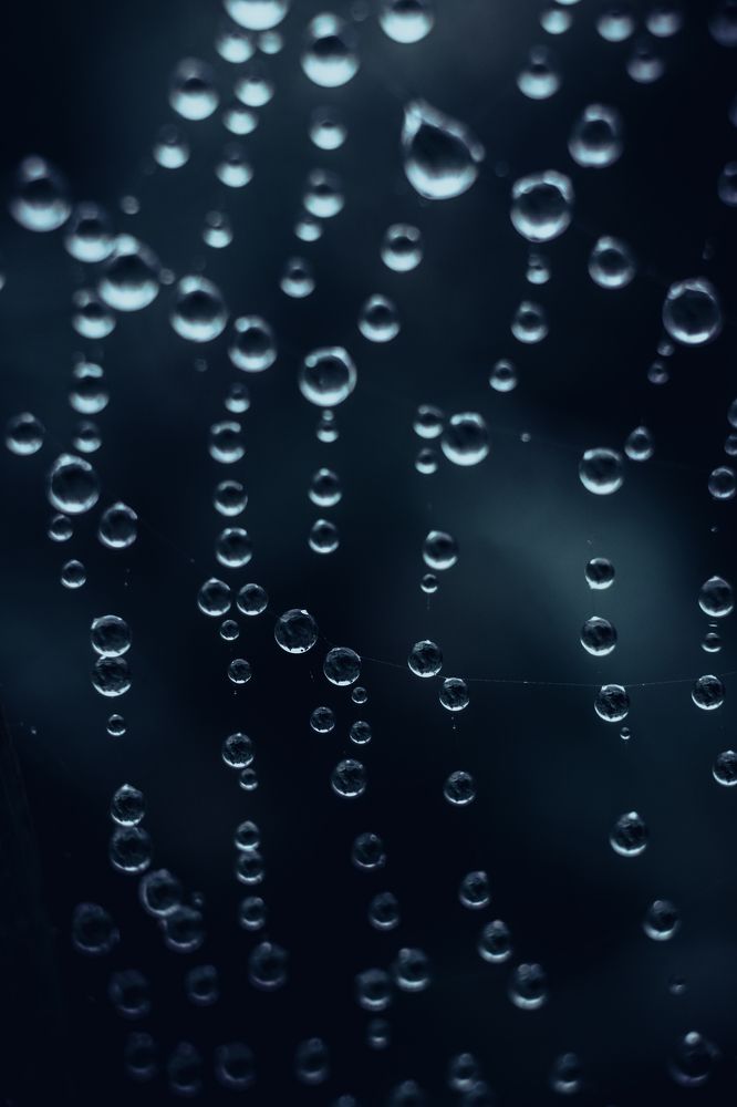 Photograph by Anna Turks