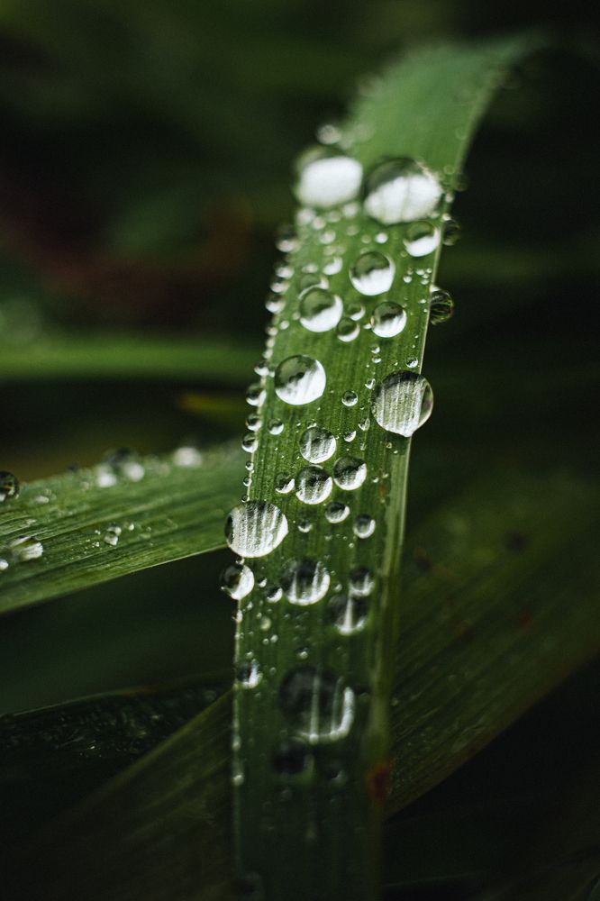 Photograph by Anna Turks