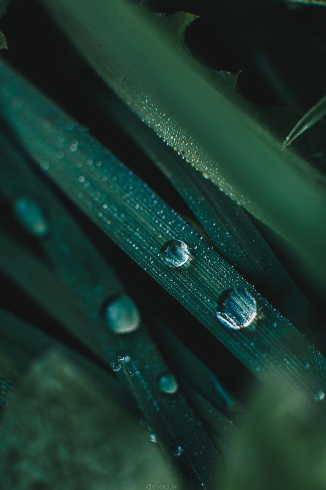 Photograph by Anna Turks