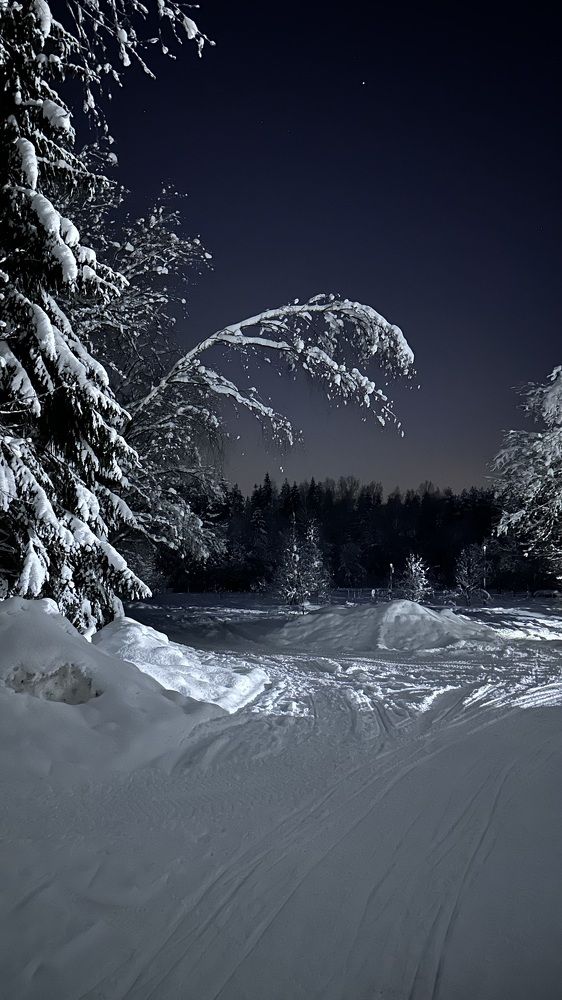 Photograph by Денис Ковальчук
