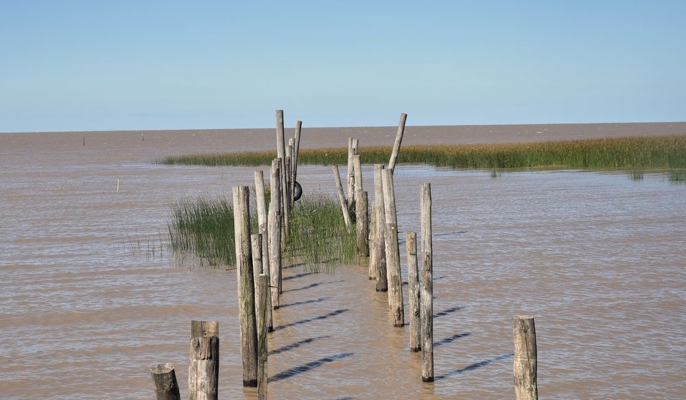 Photograph by SILVIA CLELIA AGOSTINIS